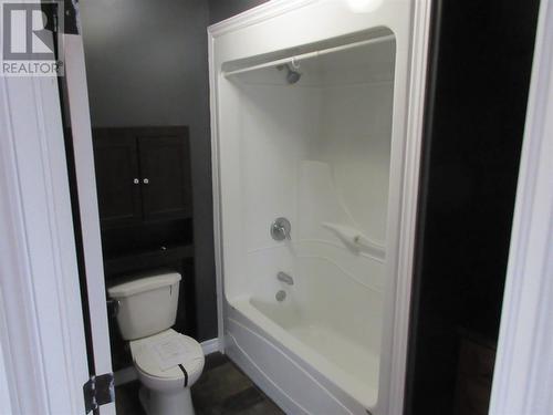 2 Wheelers Avenue, Grand Falls Windsor, NL - Indoor Photo Showing Bathroom