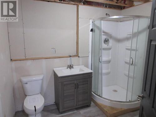 2 Wheelers Avenue, Grand Falls Windsor, NL - Indoor Photo Showing Bathroom