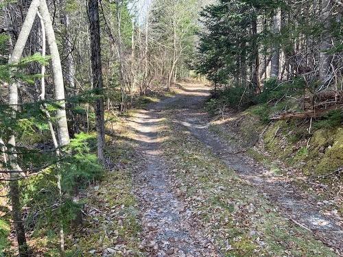 East River East Side Road, Glencoe, NS 