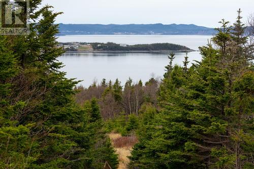 0 Williams Hill, New Harbour, NL - Outdoor With Body Of Water With View