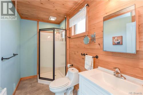 607 Des Acadiens Boulevard, Bertrand, NB - Indoor Photo Showing Bathroom