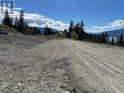 Lot #3 3648 Braelyn Road, Tappen, BC 