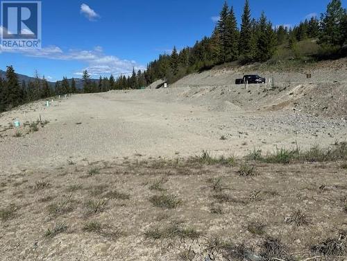 Lot #3 3648 Braelyn Road, Tappen, BC 