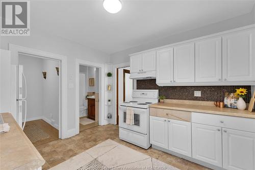383 Newbury Street, Windsor, ON - Indoor Photo Showing Kitchen