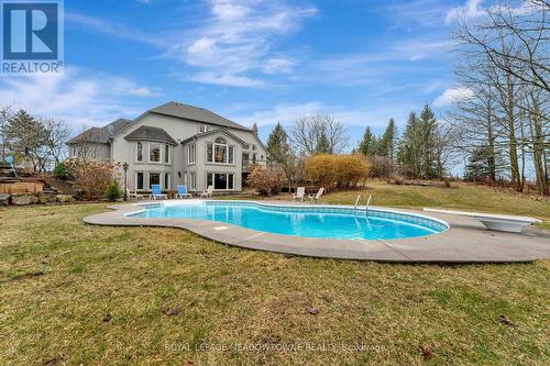 299 10Th Concession Rd E, Hamilton, ON - Outdoor With In Ground Pool With Backyard