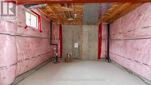 29 Robinson St, Barrie, ON - Indoor Photo Showing Basement