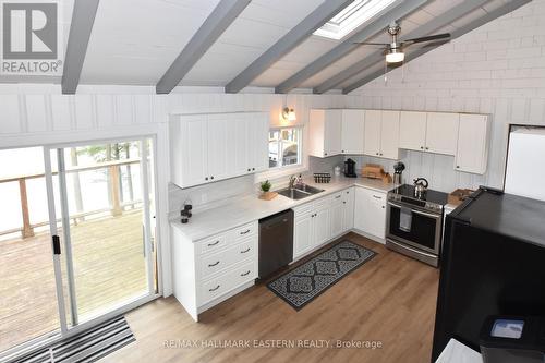 41 Godson Rd, North Kawartha, ON - Indoor Photo Showing Kitchen With Double Sink