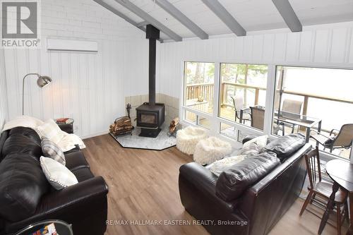 41 Godson Rd, North Kawartha, ON - Indoor Photo Showing Living Room With Fireplace