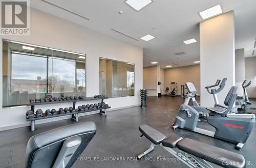 #503 -50 Thomas Riley Rd, Toronto, ON - Indoor Photo Showing Gym Room