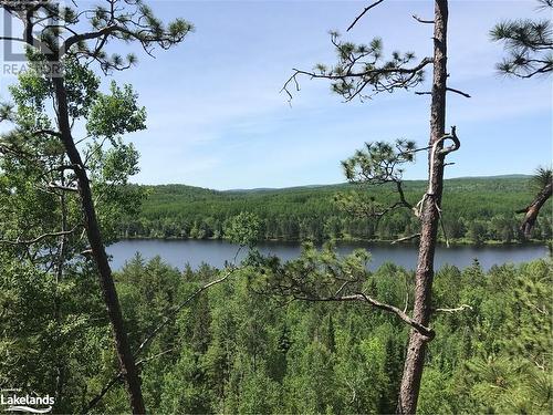 View from the cliffs - Lot 23 Conession 6, Calvin Twp, ON 