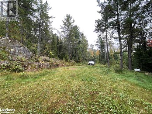 Landing Area - Lot 23 Conession 6, Calvin Twp, ON 