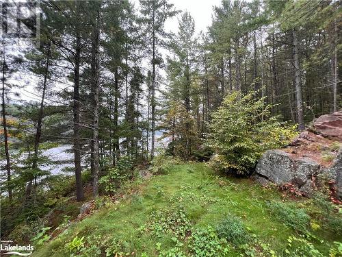 Path/road down to the water - Lot 23 Conession 6, Calvin Twp, ON 