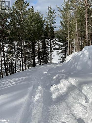 Path/road down to the water (winter) - Lot 23 Conession 6, Calvin Twp, ON 