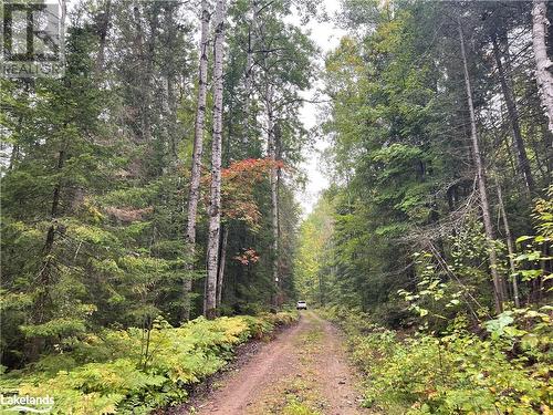 Right of Way to property - Lot 23 Conession 6, Calvin Twp, ON 