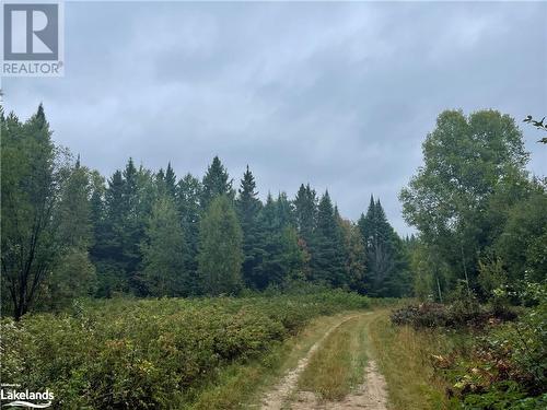 Right of Way Right of Way to property - Lot 23 Conession 6, Calvin Twp, ON 