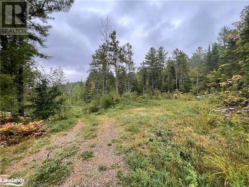 Drive on property - Lot 23 Conession 6, Calvin Twp, ON 
