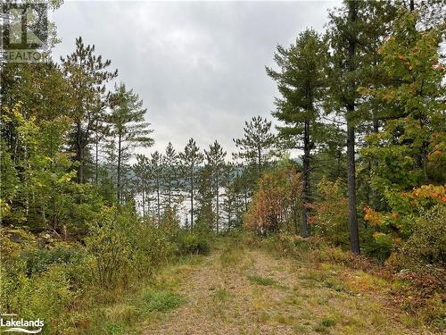 Drive on property - Lot 23 Conession 6, Calvin Twp, ON 