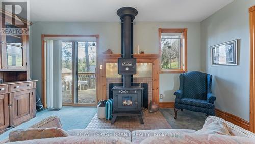 248 German School Rd, Brant, ON - Indoor Photo Showing Living Room With Fireplace