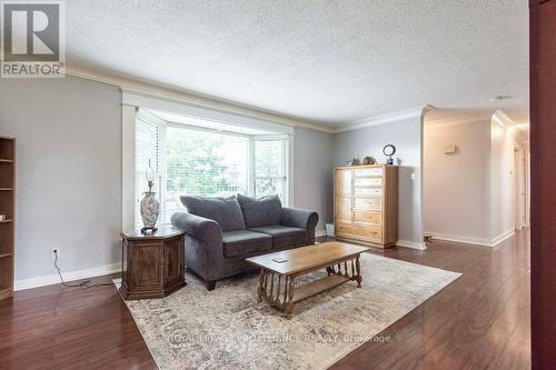 17272 Highway 2, Quinte West, ON - Indoor Photo Showing Living Room