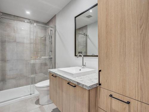 Salle de bains - 1117 Rue Jean-Vallerand, Boucherville, QC - Indoor Photo Showing Bathroom