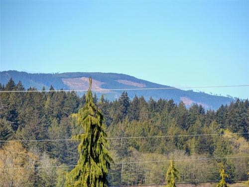 3718 Arbutus Dr North, Cobble Hill, BC - Outdoor With View