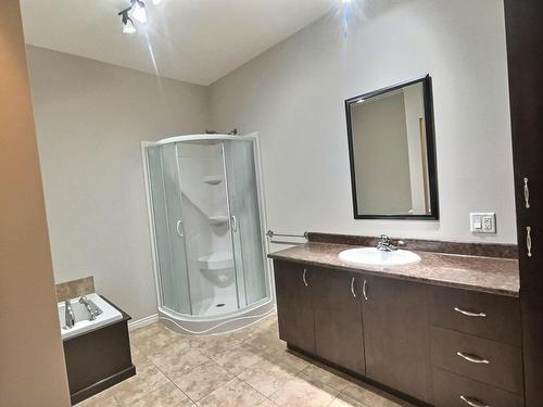 Salle de bains - 314-680 Rue St-Alphonse S., Thetford Mines, QC - Indoor Photo Showing Bathroom