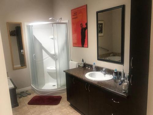 Salle de bains - 314-680 Rue St-Alphonse S., Thetford Mines, QC - Indoor Photo Showing Bathroom