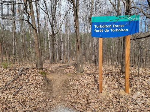 Explore many of the trails in the city of Ottawa protected forest - 215 Fireside Drive, Constance Bay, ON - Outdoor With View