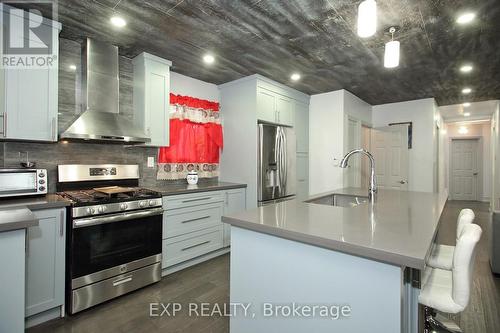 221 Church St, Toronto, ON - Indoor Photo Showing Kitchen With Stainless Steel Kitchen With Upgraded Kitchen