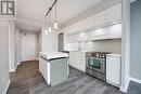 #3903 -110 Charles St E, Toronto, ON  - Indoor Photo Showing Kitchen 