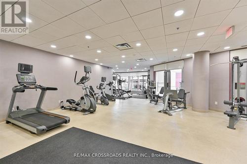 #518 -27 Rean Dr, Toronto, ON - Indoor Photo Showing Gym Room