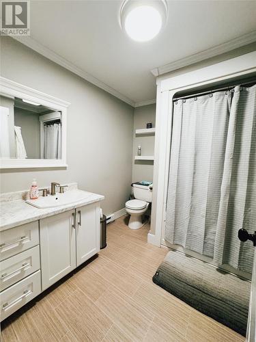 54 Quay Road, New-Wes-Valley, NL - Indoor Photo Showing Bathroom