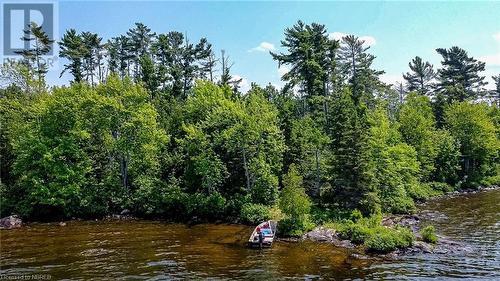 Lot 6 Grand Trunk Island, Callander, ON 