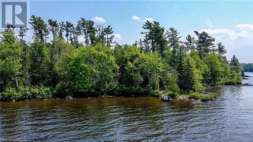 Lot 6 Grand Trunk Island, Callander, ON 