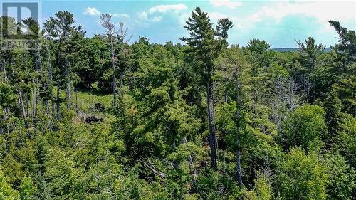 Lot 6 Grand Trunk Island, Callander, ON 