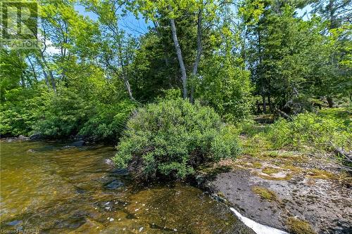 Lot 6 Grand Trunk Island, Callander, ON 