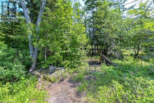 Lot 6 Grand Trunk Island, Callander, ON 