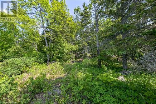 Lot 6 Grand Trunk Island, Callander, ON 