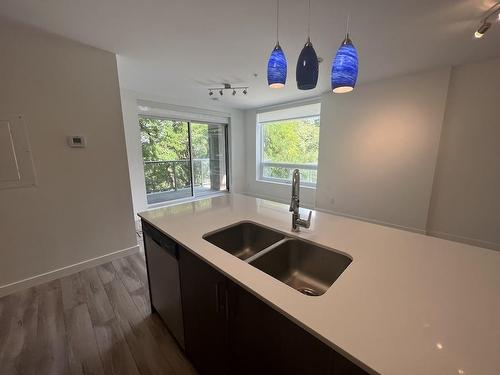 455 Charlton Avenue E|Unit #107, Hamilton, ON - Indoor Photo Showing Kitchen With Double Sink