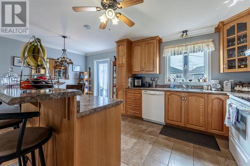 169 Elizabeth Drive, Paradise, NL - Indoor Photo Showing Kitchen With Double Sink