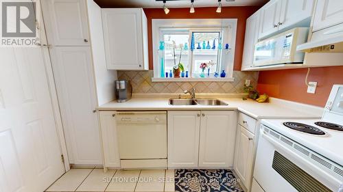 10 Argyle St, London, ON - Indoor Photo Showing Kitchen With Double Sink