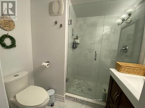 #Lower -43 Tomlin Cres, Richmond Hill, ON - Indoor Photo Showing Bathroom