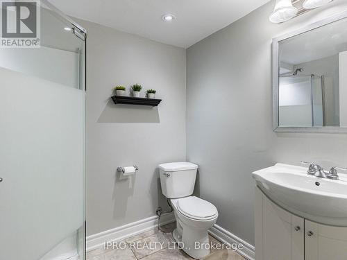 725 Ambroise Cres, Milton, ON - Indoor Photo Showing Bathroom