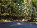 166 Lakefair Dr, Salt Spring, BC  - Outdoor With View 
