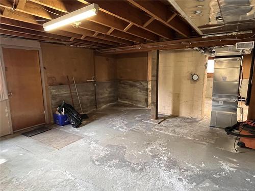 266 Sims Ave, Saanich, BC - Indoor Photo Showing Basement