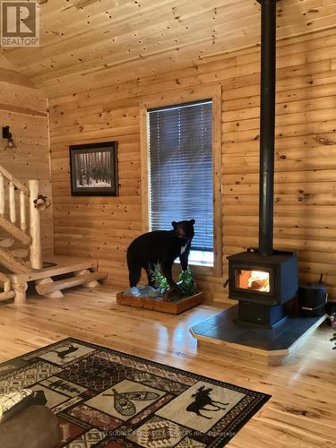 1780 Southshore Drive, Sioux Lookout, ON - Indoor With Fireplace