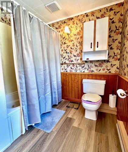 119 Memorial Drive, Clarenville, NL - Indoor Photo Showing Bathroom