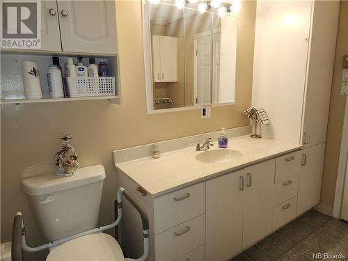 92 Dominique Street, Grand-Sault/Grand Falls, NB - Indoor Photo Showing Bathroom