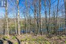 #17 -4700 Hamilton Rd, Thames Centre, ON  - Outdoor With View 