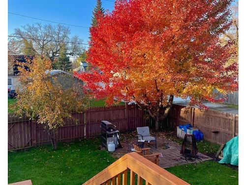 527 Third Street W, Fort Frances, ON - Outdoor With Backyard